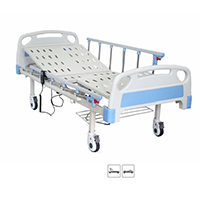 Two Function Electric Care Bed LT-825
