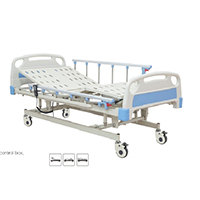 Three Function Electric Care Bed LT-833