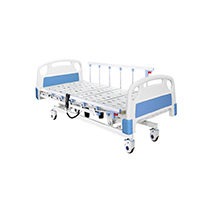 Economical Five Function Electric Care Bed LT-852