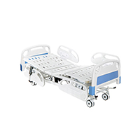 X-Ray Five Function Electric Care Bed LT-853