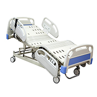 Five Function Electric Care Bed LT-856