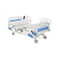 ACP Five Function Electric Care Bed LT-8571