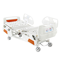 Luxury Five Function Electric Care Bed LT-8581