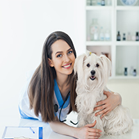 Veterinary Clinic Product List