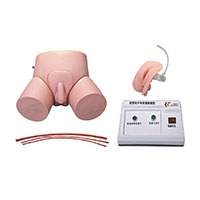 Electronic Urethral Catheterization and Enema Model LT-D 