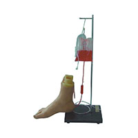 Foot Vein Injection Model LT-H3018