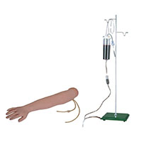 Arm Venipuncture & Intramuscular Injection Training Model LT-S1 