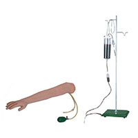 Arm Artery Puncture & Intramuscular Injection Training Model LT-S3