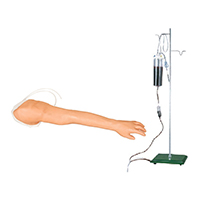 Venipuncture and Injection Training Arm Model LT-S8 