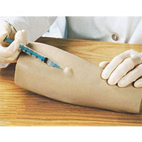 Arm Intradermal Injection Model LT-S11 