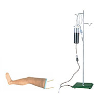 Advanced Intravenous Transfusion Leg Model LT-S16 