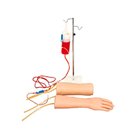 Hand and Elbow Combined Intravenous Transfusion Training Arm LT-S18 