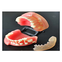 Alternation of Deciduous Teeth and Permanent Teeth Model LT-Y10030 