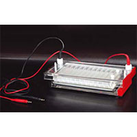 Electrophoresis cell and power supplyer