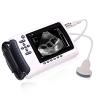 Veterinary Waterproof Handheld Ultrasound LT-4018V 