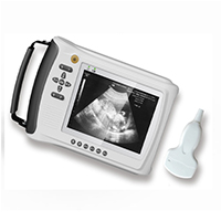 Veterinary Full Digital Handheld Ultrasound LT-3018V 