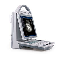 Veterinary B Mode Ultrasound Scanner LT-5600 