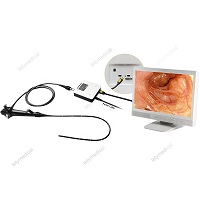 Flexible Video bronchoscope with HD endoscope camera  Bronchial endoscope portable electronic endoscope